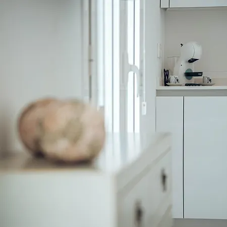 Apartamento La Moneda *