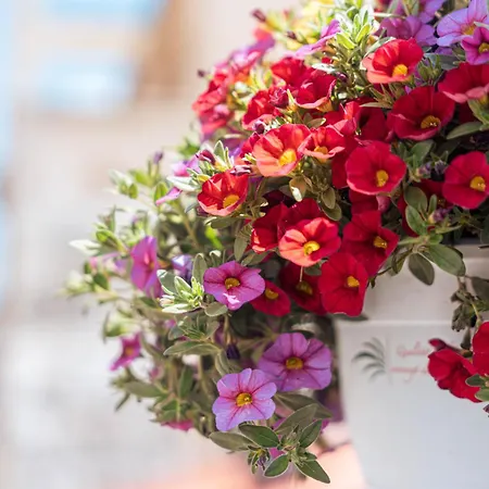 Appartamento La Moneda Burgo