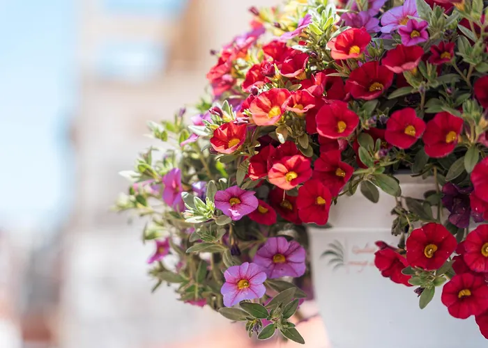 Appartamento La Moneda Burgo